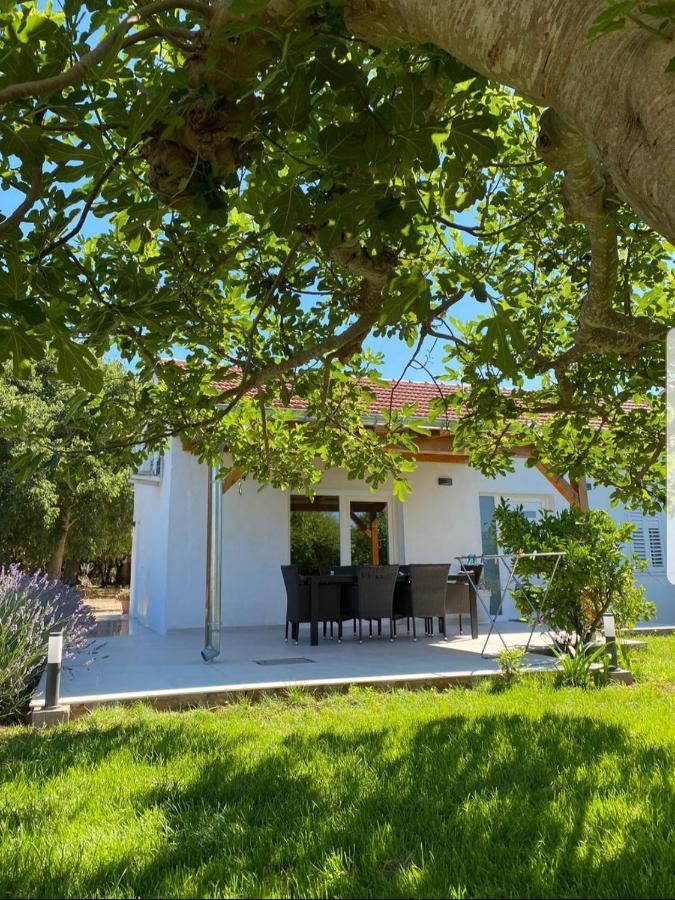 Holiday House Lucia Сукошан Екстер'єр фото